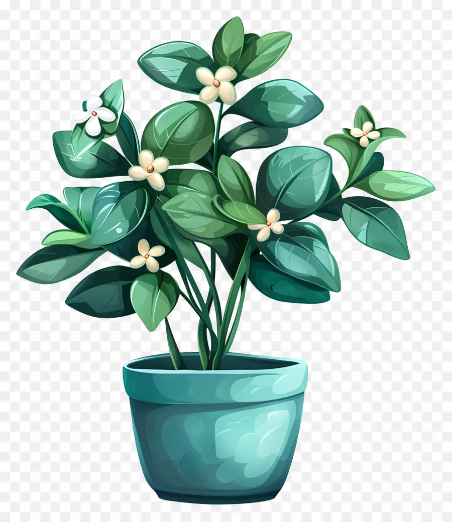 Flor De Jade Em Vasos，Flores Brancas PNG