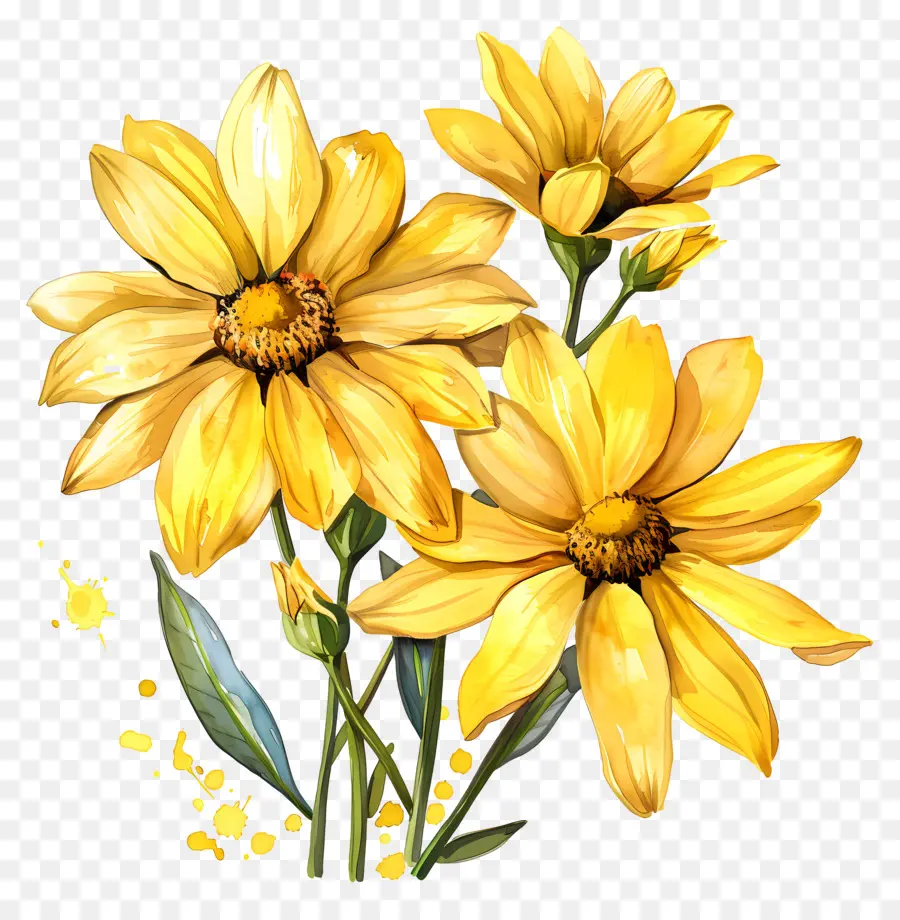 Margaridas Amarelas，Flores Amarelas PNG