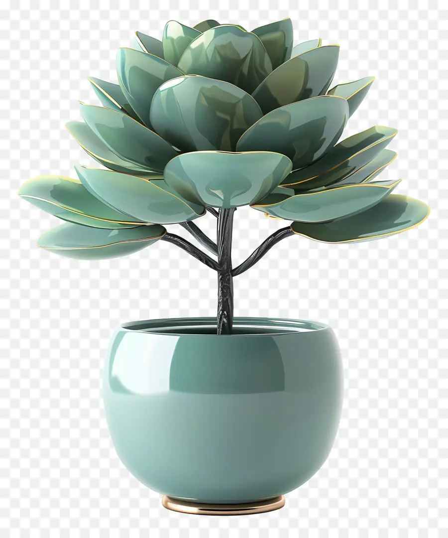 Flor De Jade Em Vasos，Planta Interna PNG