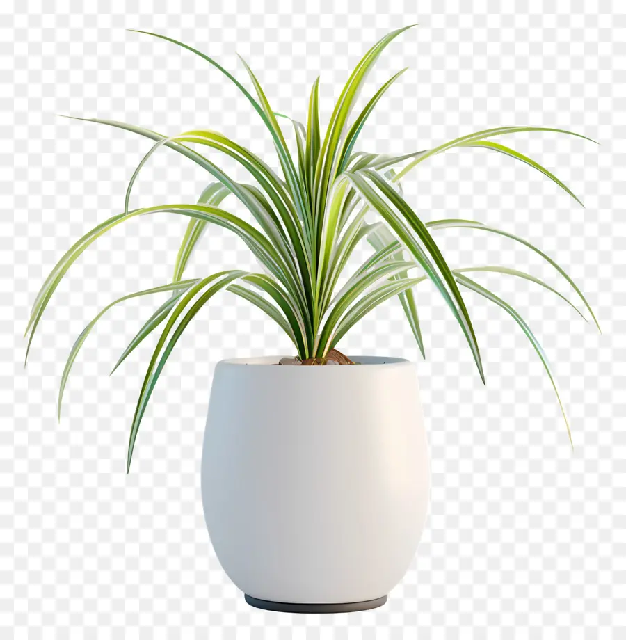 Planta Em Vasos De Aranha，Pote De Planta De Cerâmica PNG