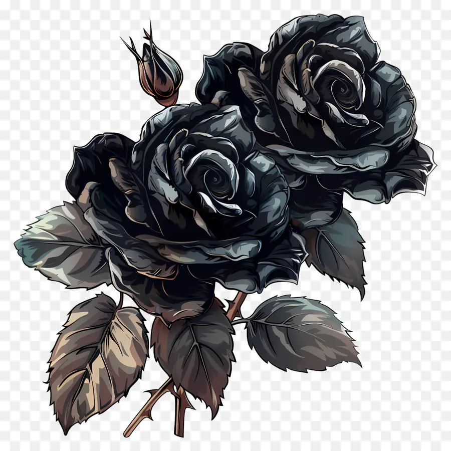 Rosas Pretas，Rosas Góticas PNG