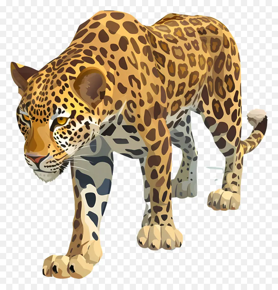 Africano Leopardo，Jaguar PNG