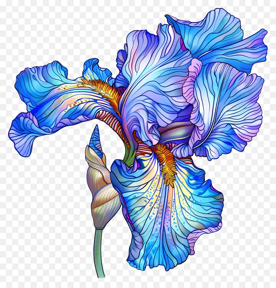 Flor De Iris，íris Azul PNG