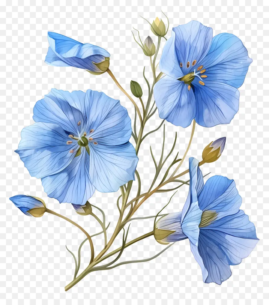Blue Linho Perene，Flor Azul PNG