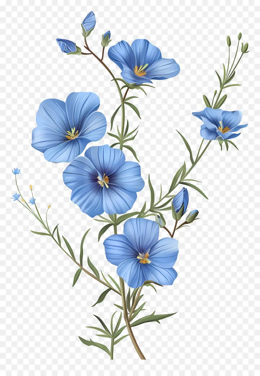Blue Linho Perene，Flores Azuis PNG