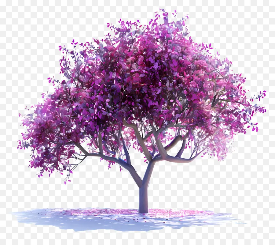 Judas árvore，árvore Rosa PNG