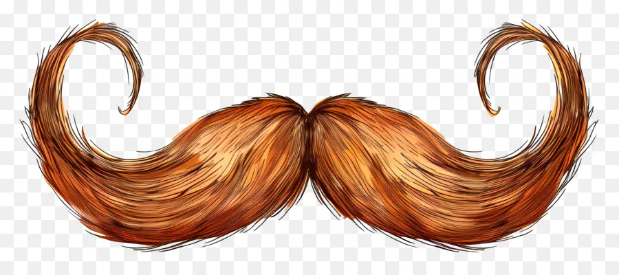 Bigode，Cabelo Vermelho PNG