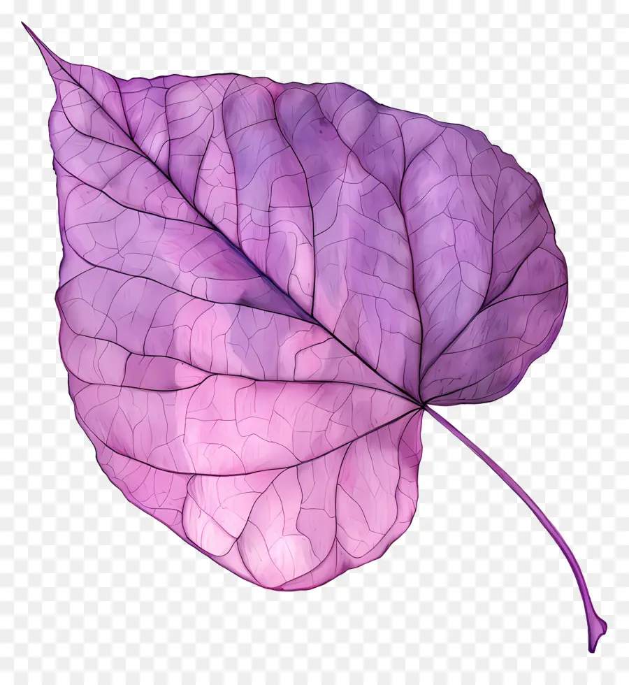 Folha De Redbud Oriental，Cor De Rosa Folha PNG