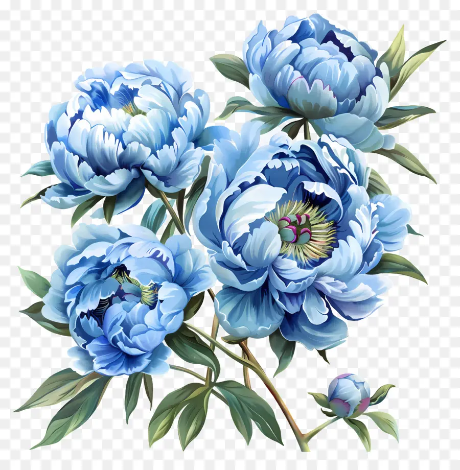 Peônias Azuis，Pintura Das Flores PNG