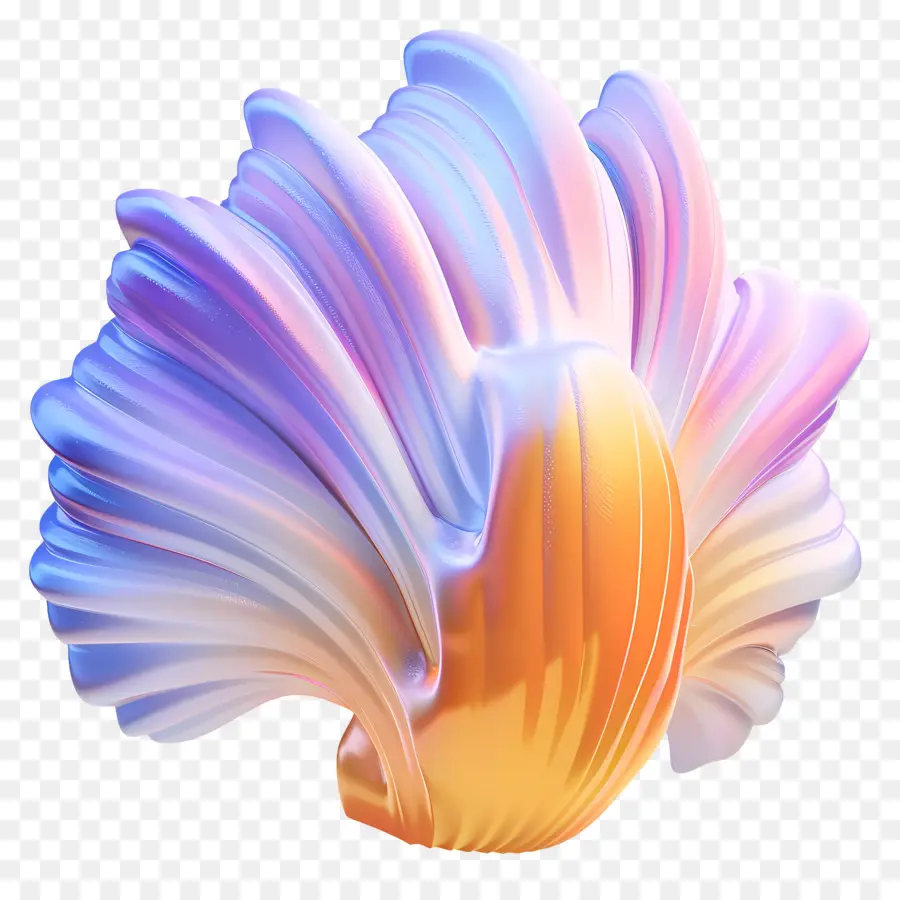 Shell，Colorido PNG