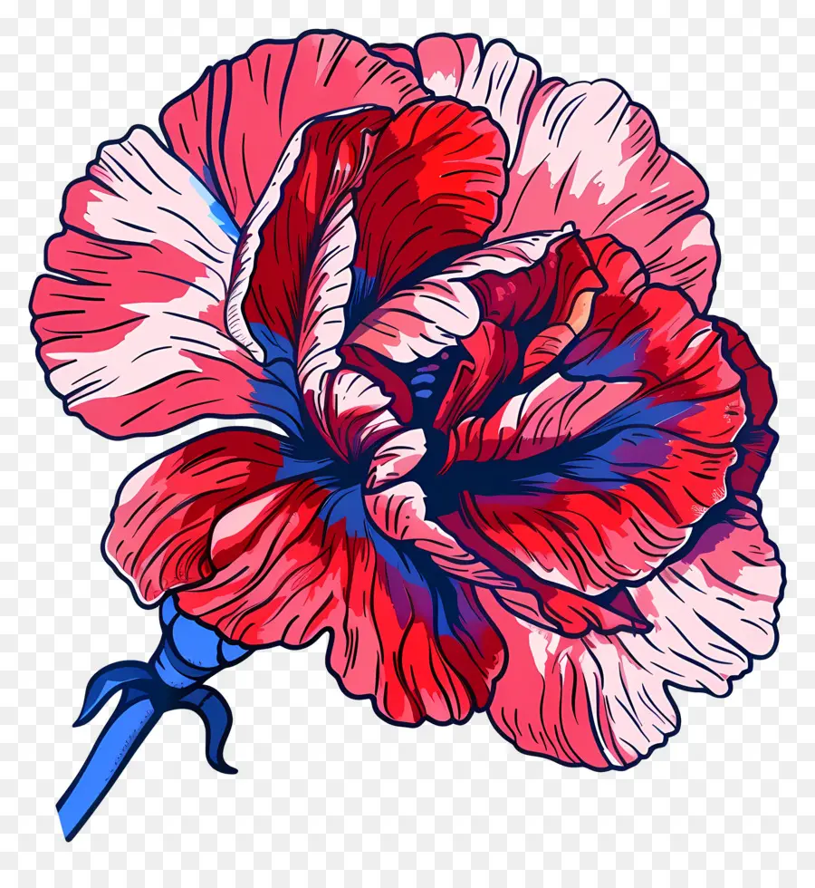 Flor Cravo，Flor De Desenho PNG