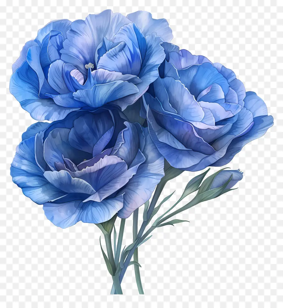 Flor Azul De Lisianthus，íris Azul PNG
