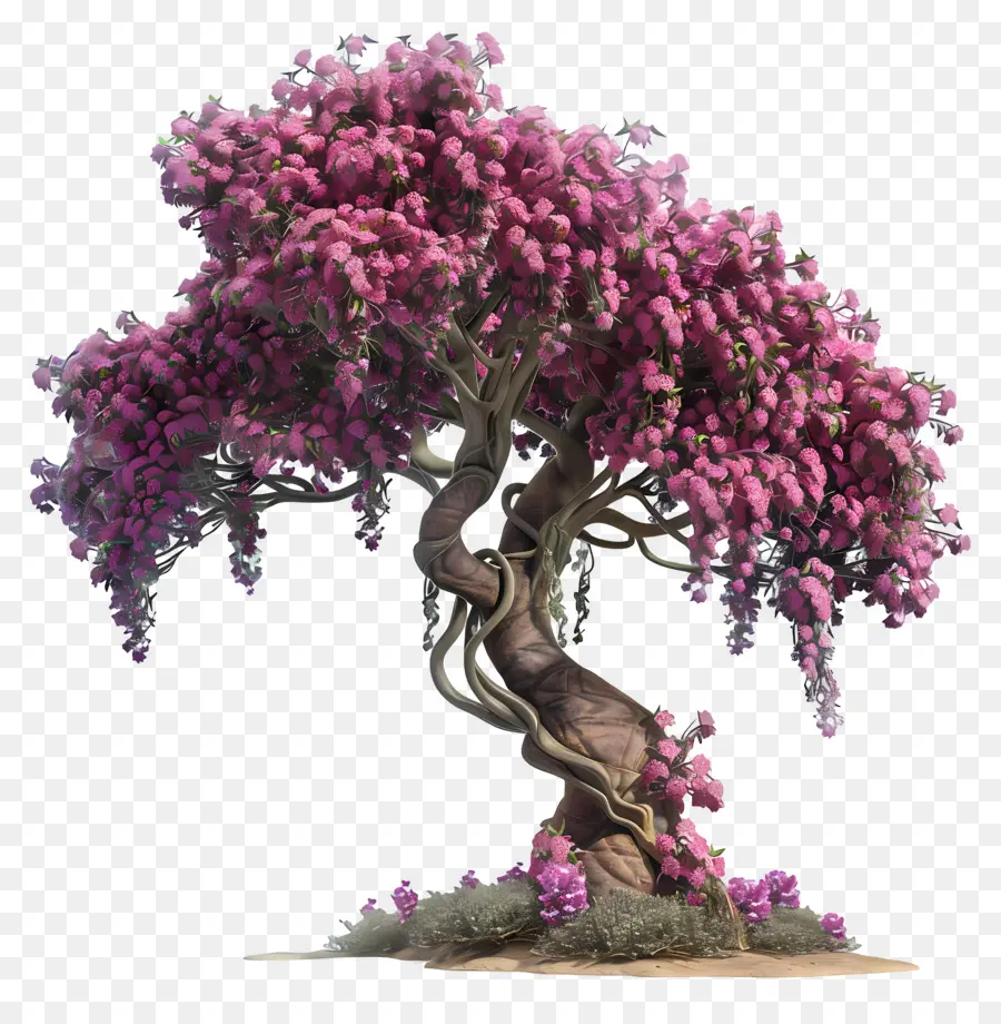 Judas árvore，árvore Ornamentada PNG