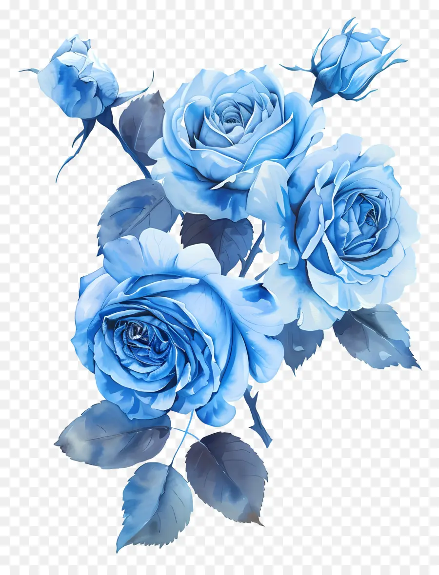 Rosas Azuis，Arranjo De Flores PNG