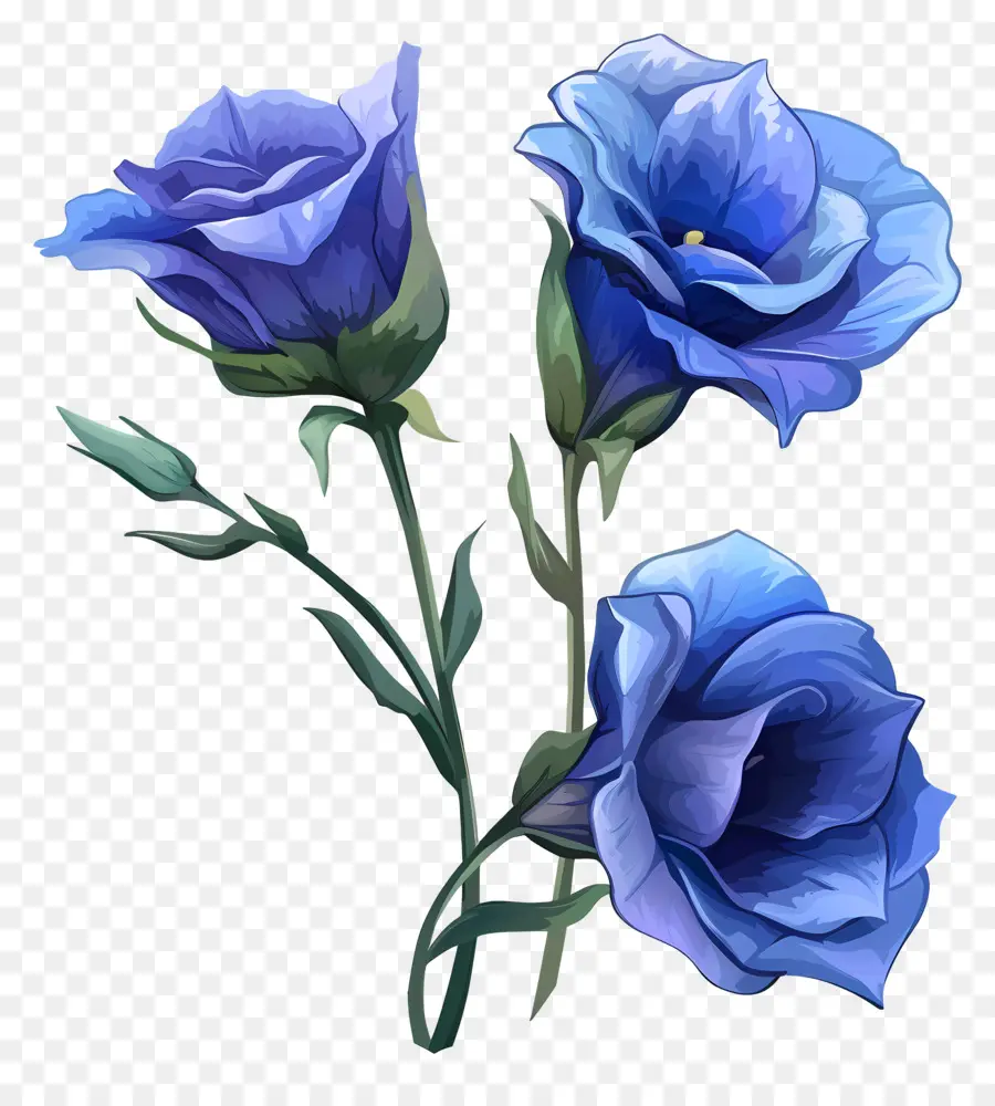 Flor Azul De Lisianthus，Flores Azuis PNG