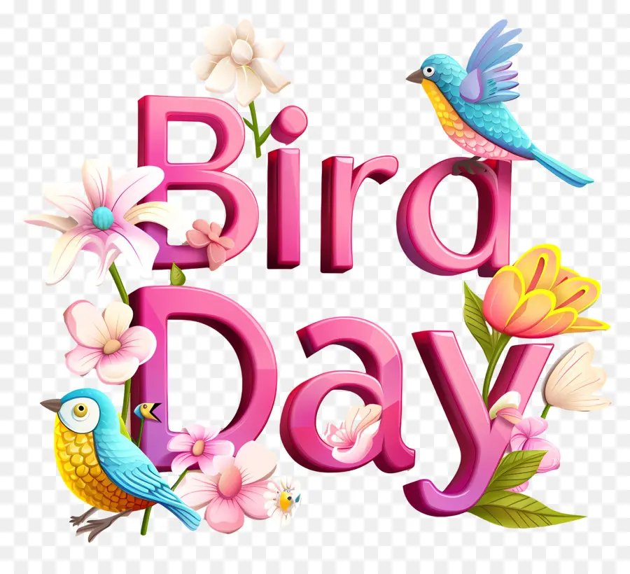Pássaro Dia，Aniversário PNG