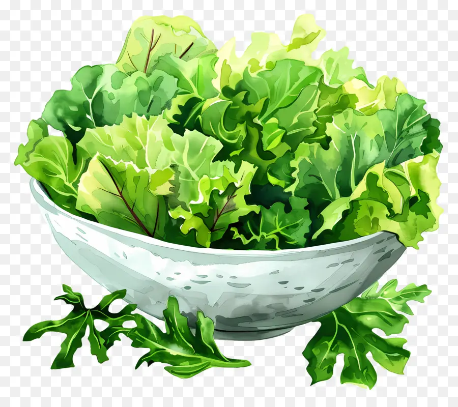 Salada Verde，Pôr Do Sol PNG