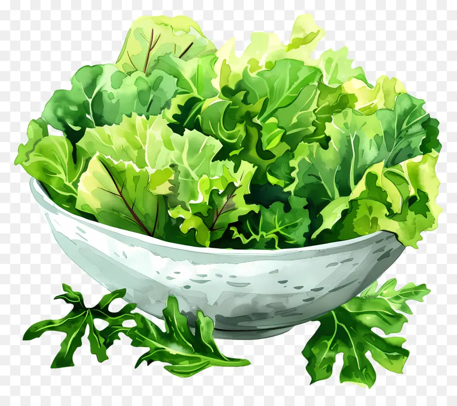 Salada Verde，Tigela PNG