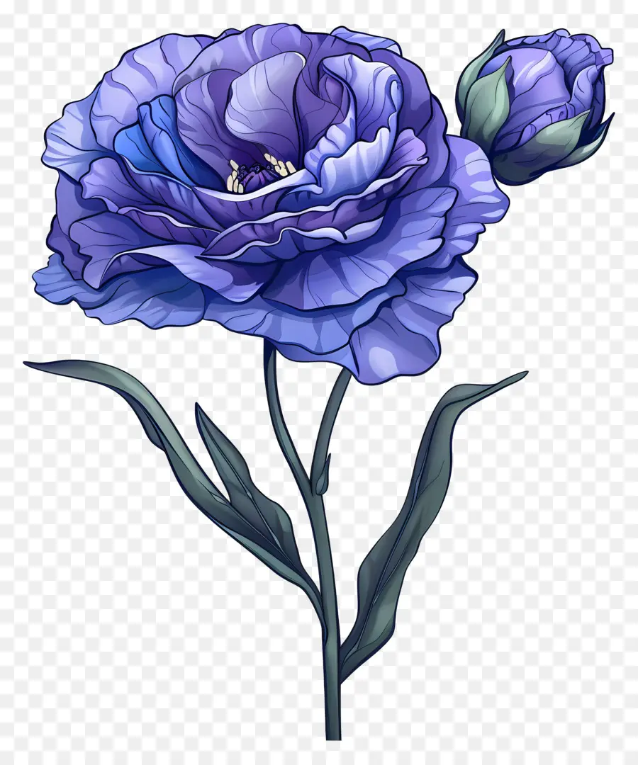 Flor Azul De Lisianthus，Flor Azul PNG
