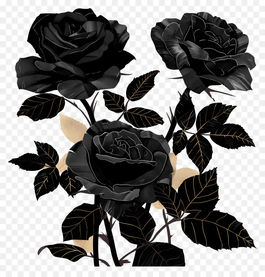 Rosas Pretas，Rosas PNG