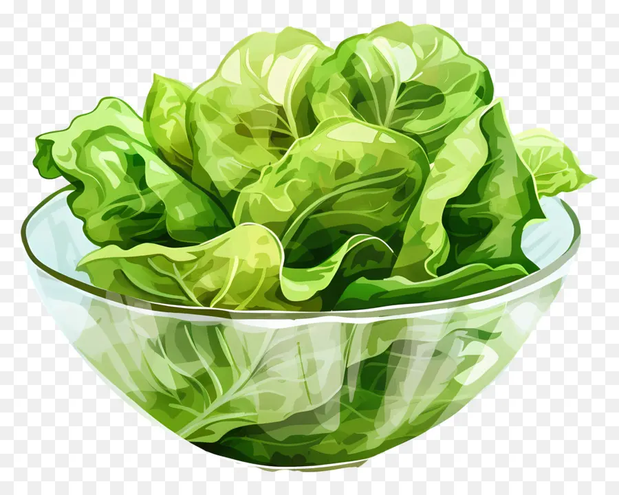 Salada Verde，Alface PNG