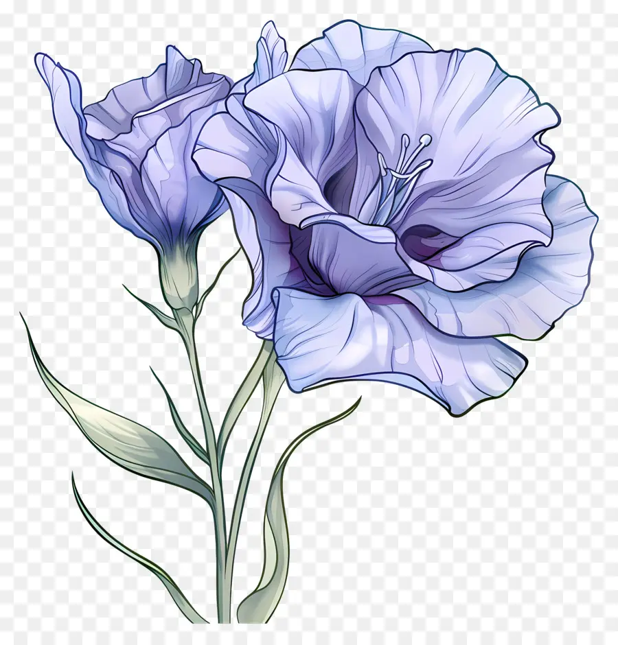 Flor Azul De Lisianthus，Flores Roxas PNG