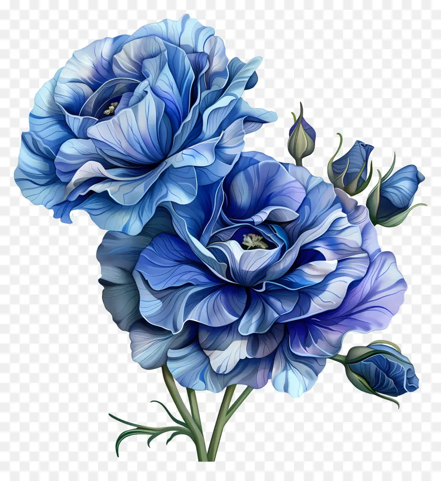 Flor Azul De Lisianthus，Pintura Em Aquarela PNG