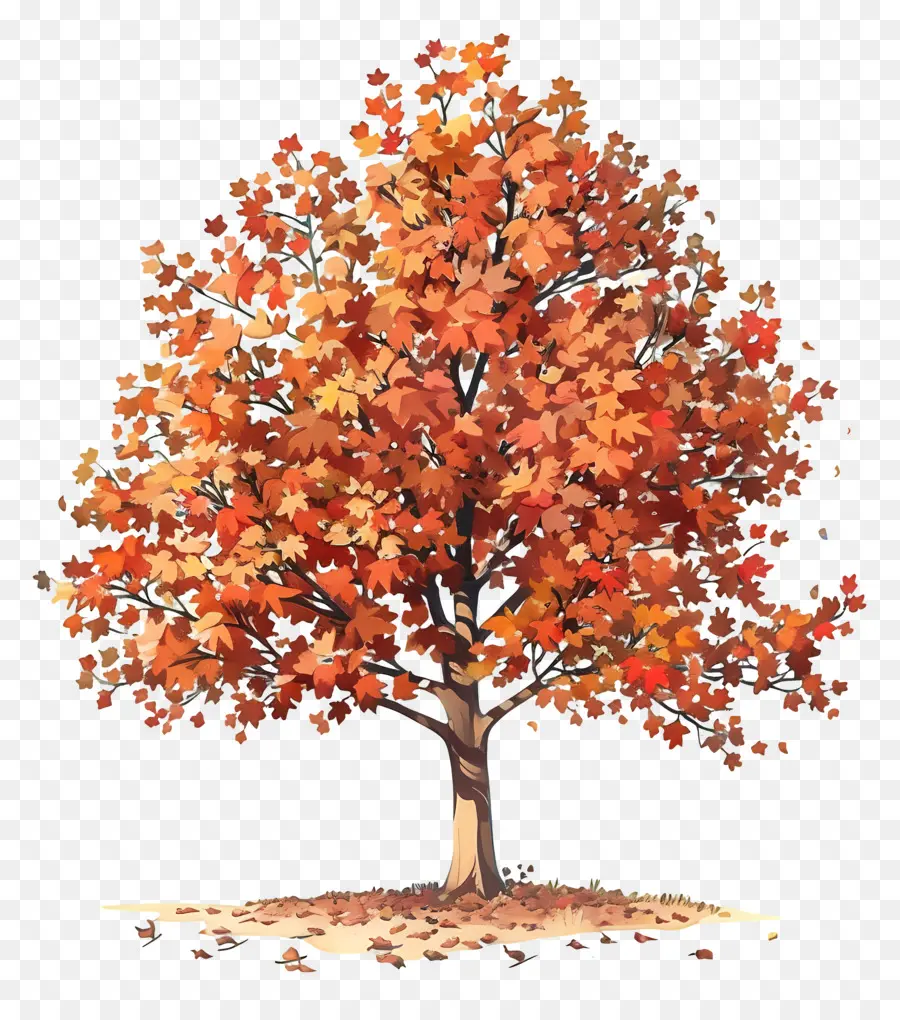 árvore De Bordo，Autumn Leaves PNG