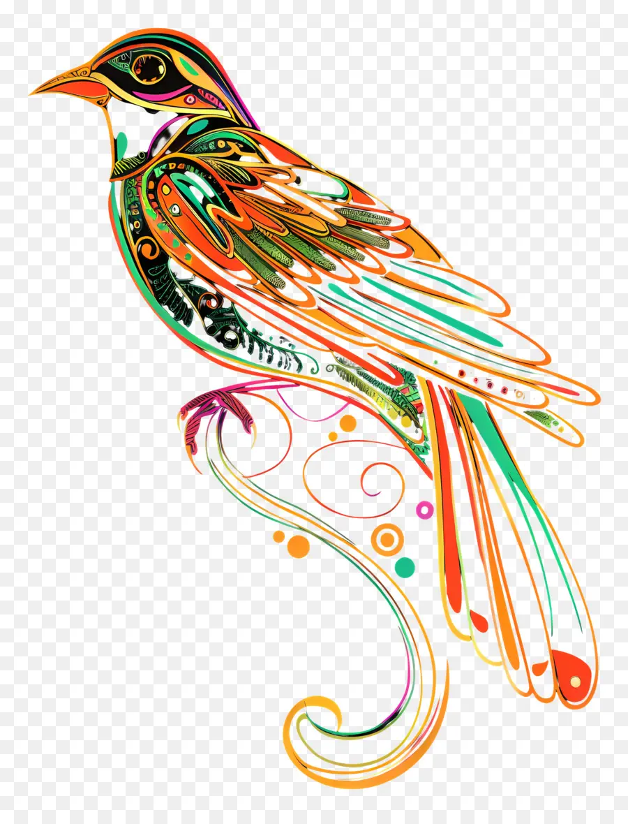 Arte De Linha，Aves PNG