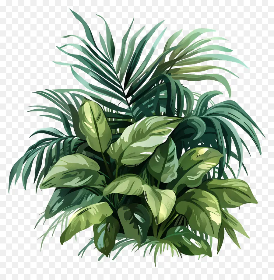 Verde Exuberante，Planta Verde PNG