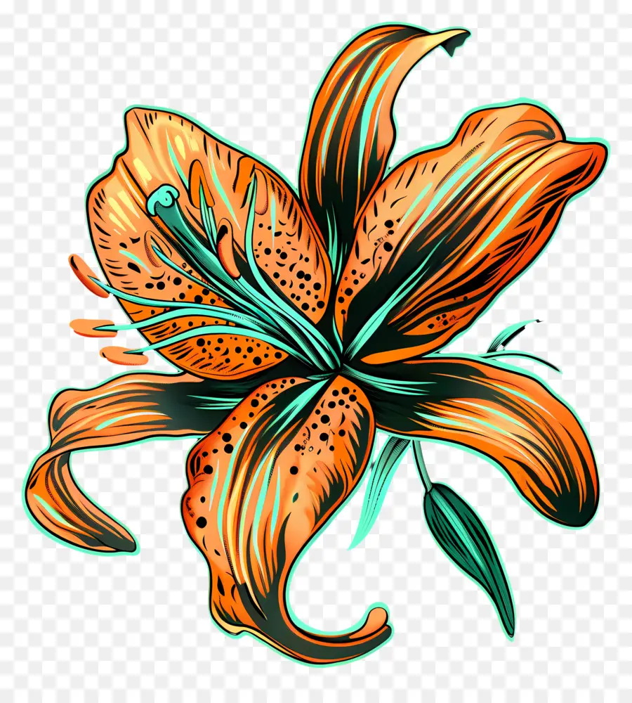 Arte De Linha，Flor Do Lírio PNG