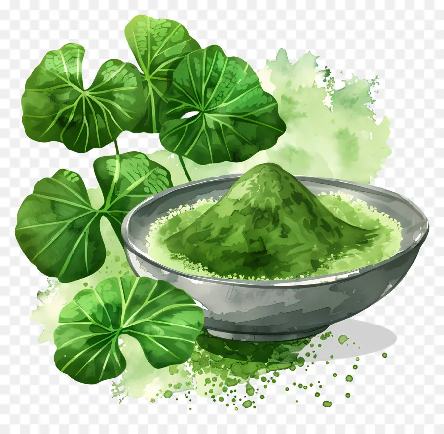 Cola Em Pó，Matcha PNG