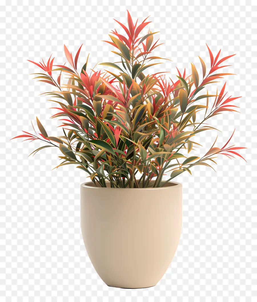 Nandina Domestica，Planta De Vaso PNG