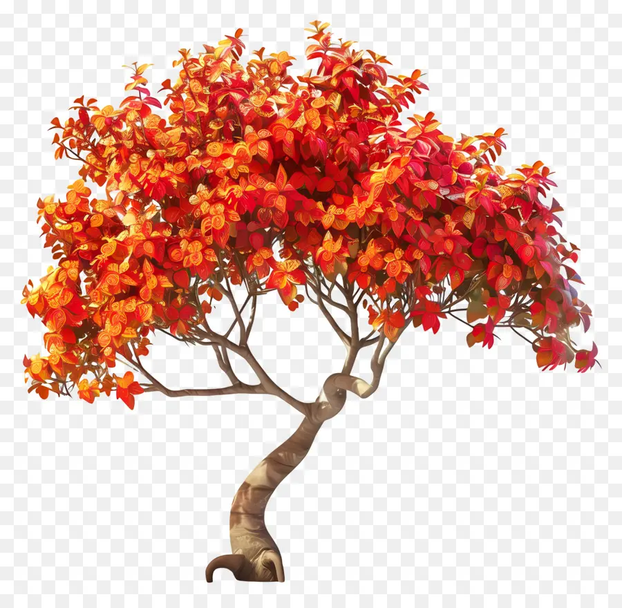 árvore Extravagante，Folhas Vibrantes PNG