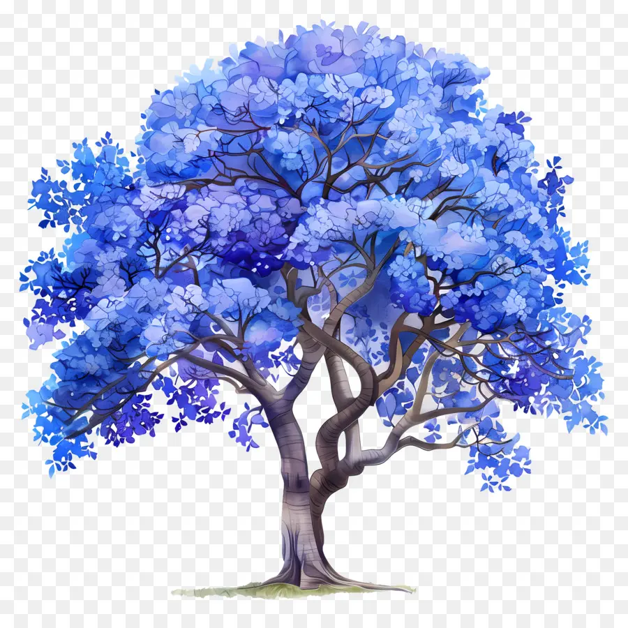 Árvore Jacaranda Azul，Folhas Azuis PNG