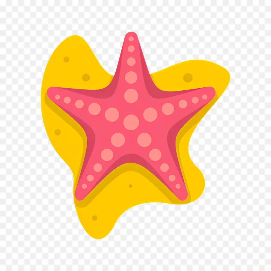 Estrela Logotipo，Plástico Starfish PNG