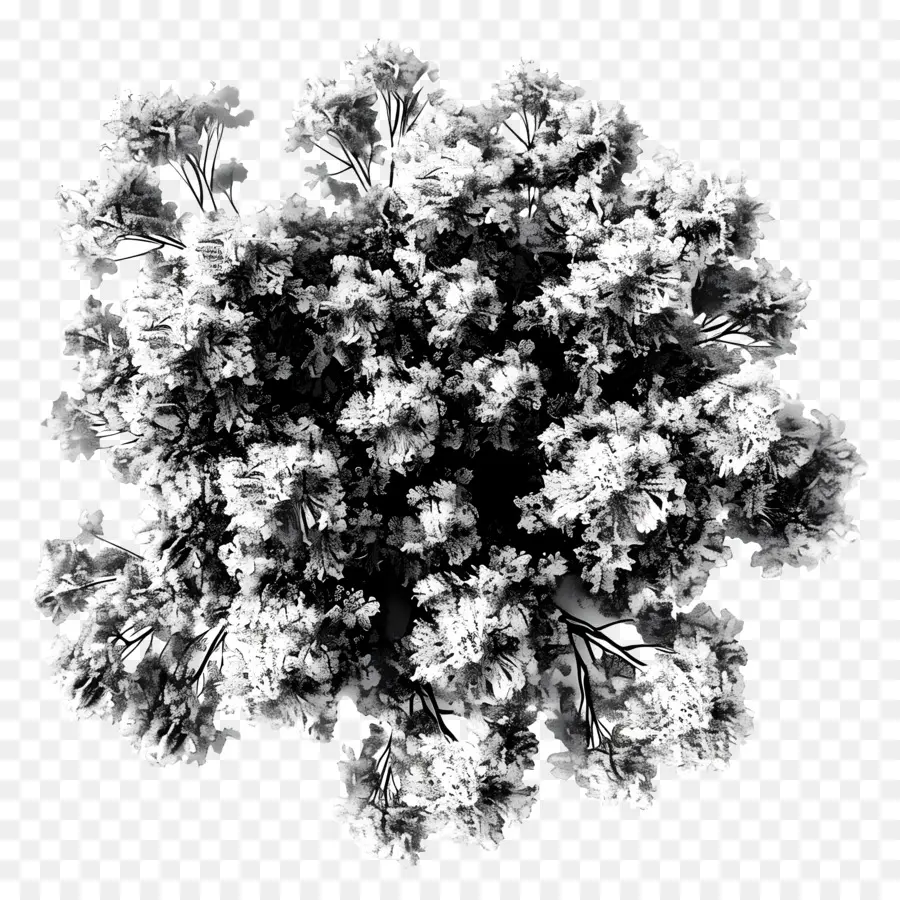 Visualização Superior De árvore Esboçada，Paisagem De Inverno PNG