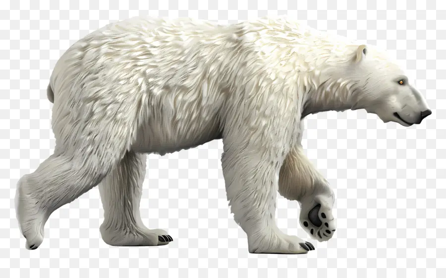 Vista Lateral Do Urso Polar，Urso Polar PNG