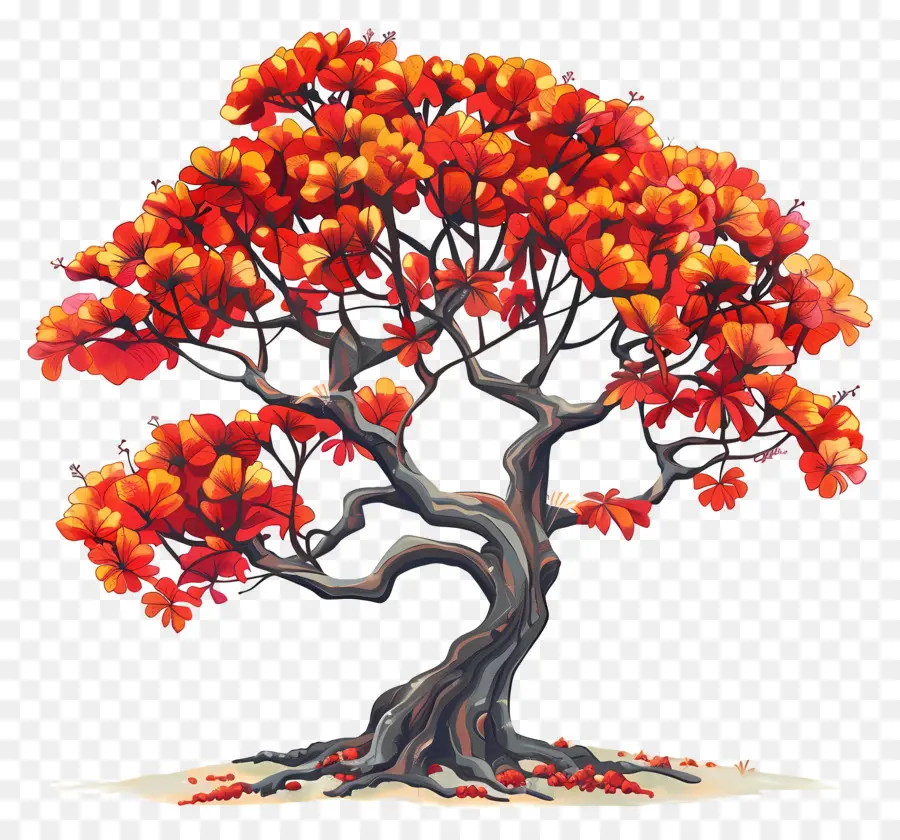 árvore Extravagante，Folhas Vermelhas PNG