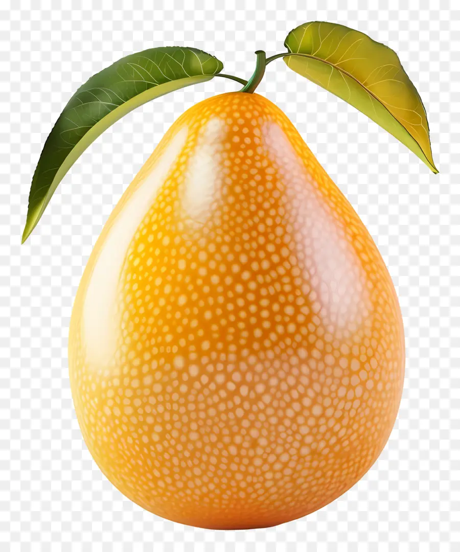 Alphonso Mango，Fruto Amarelo PNG