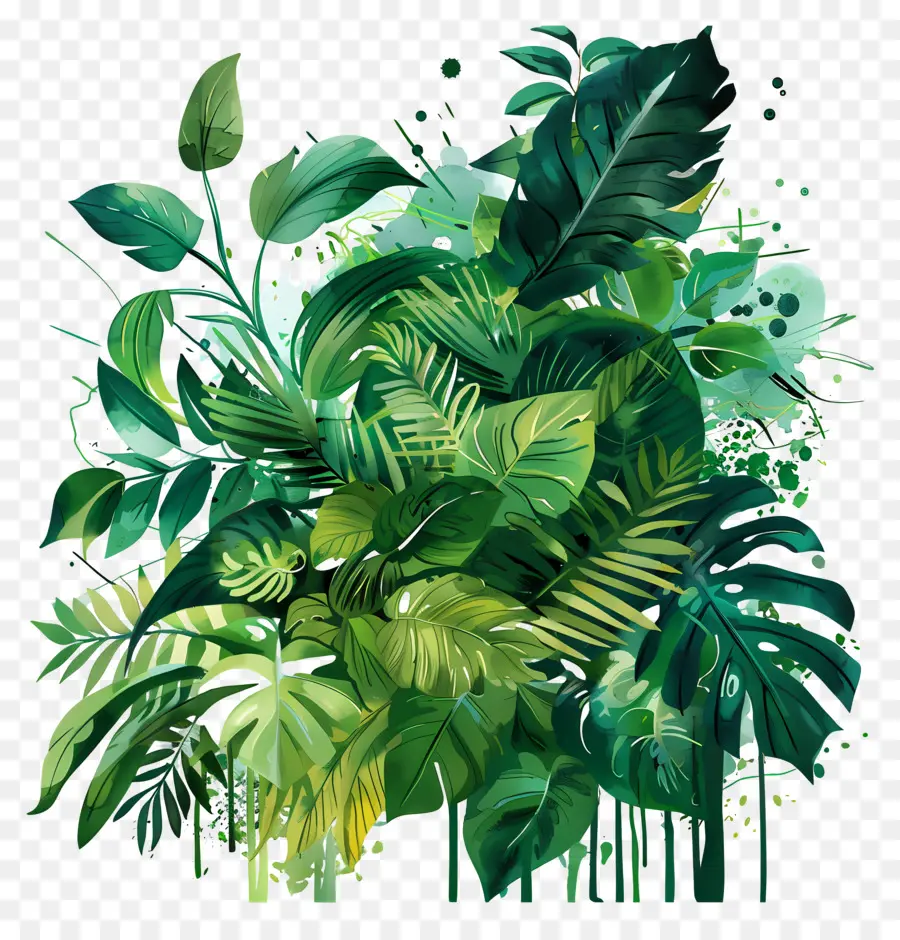 Verde Exuberante，Selva PNG