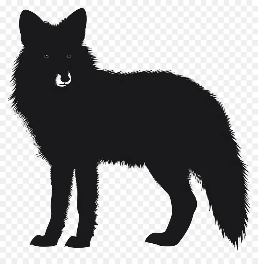 Silhueta Do Ártico Fox，Lobo Negro PNG