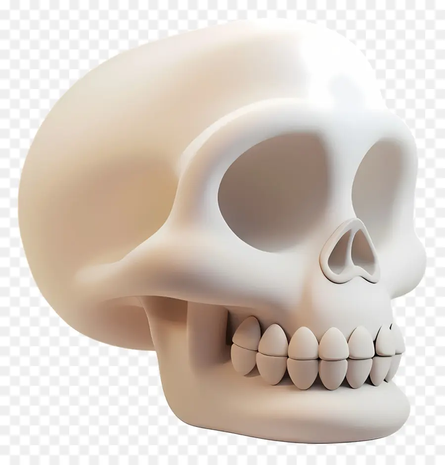 Vista Lateral Do Crânio De Desenho Animado，Crânio Humano PNG