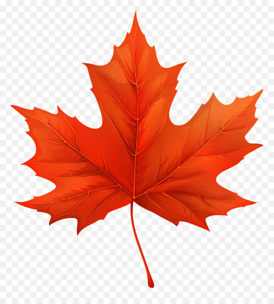 Maple Leaf，Red Maple Leaf PNG