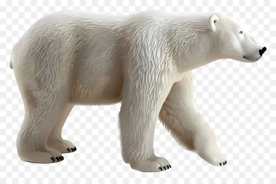 Vista Lateral Do Urso Polar，Urso Polar PNG