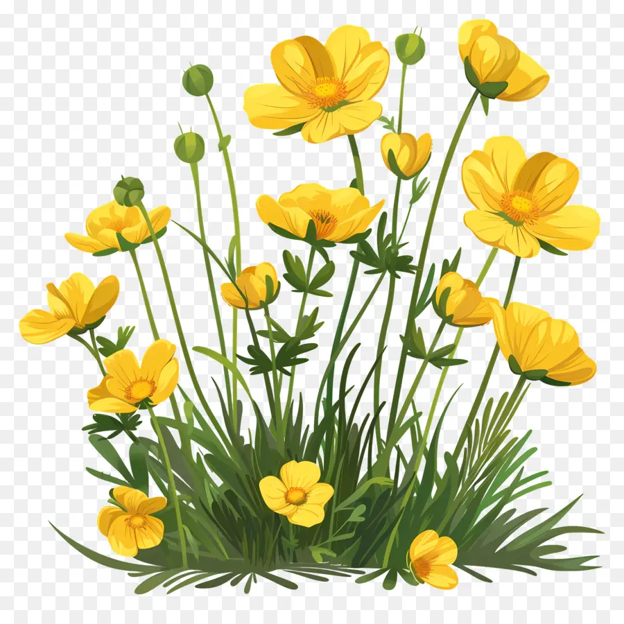 Docinho Flor，Flores Amarelas PNG