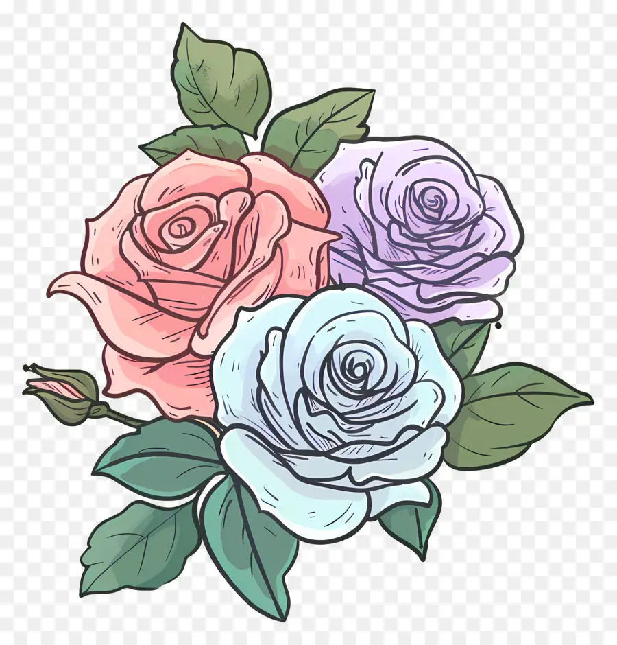 Rosas，Flor De Desenho PNG