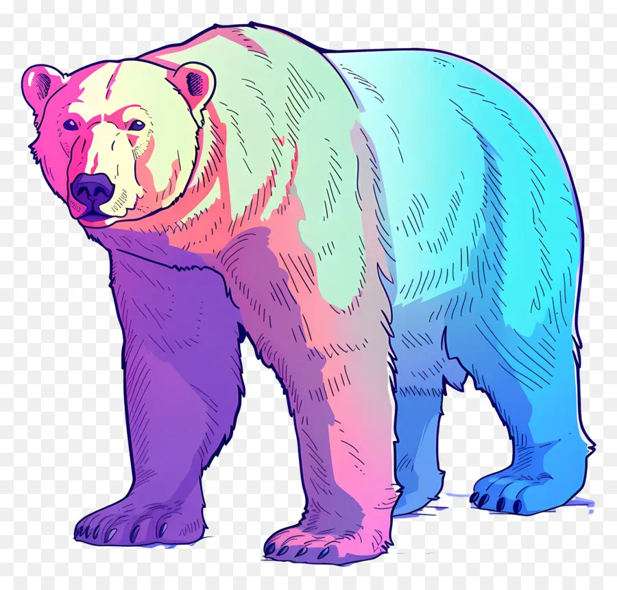 Urso Polar，A Vida Selvagem PNG