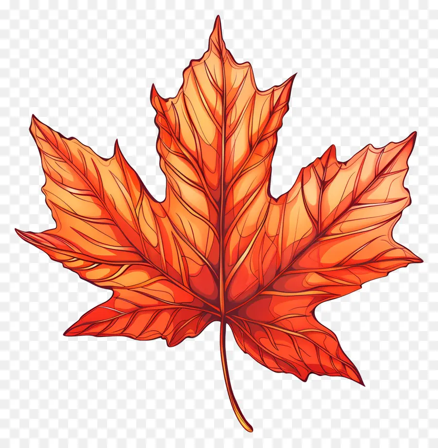 Maple Leaf，Red Maple Leaf PNG