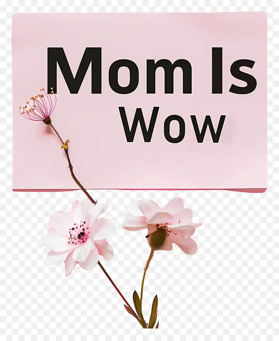 Mamãe é Uau，Dia Das Mães PNG